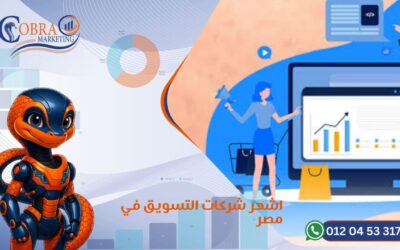 تعرف على اشهر شركات التسويق في مصر 2025
